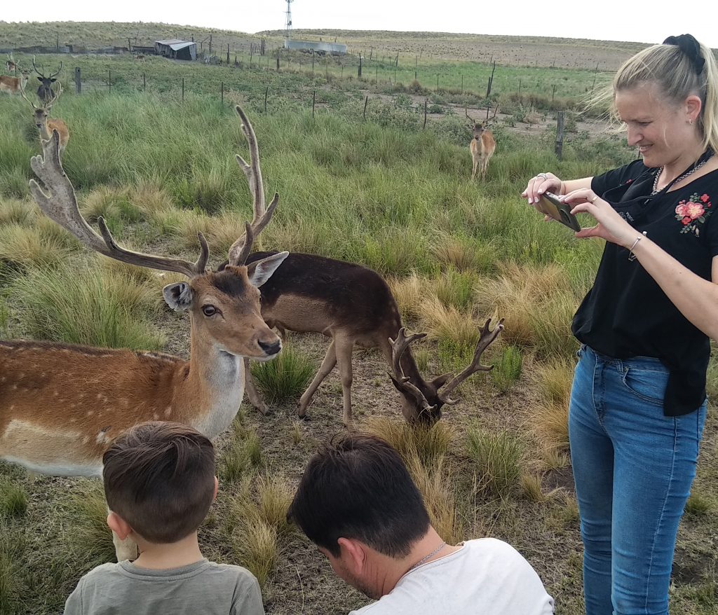 Safaris, escalada y pinturas rupestres en las sierras bonaerenses 1 Safaris, escalada y pinturas rupestres en las sierras bonaerenses