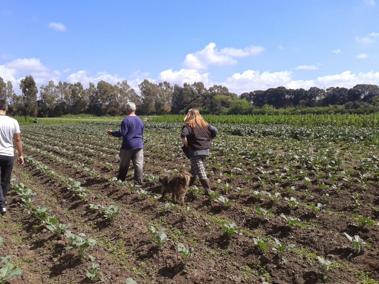 Costos «ocultos» de los sistemas agroalimentarios representan casi 10% del PBI mundial, según la FAO