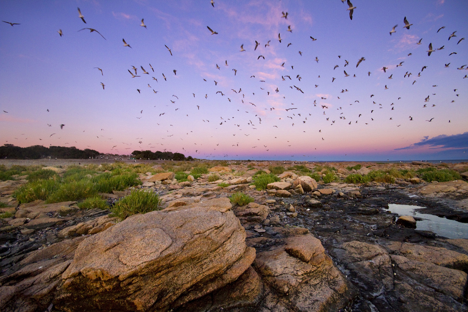 Se creó el Parque Nacional número 40: Islote Lobos
