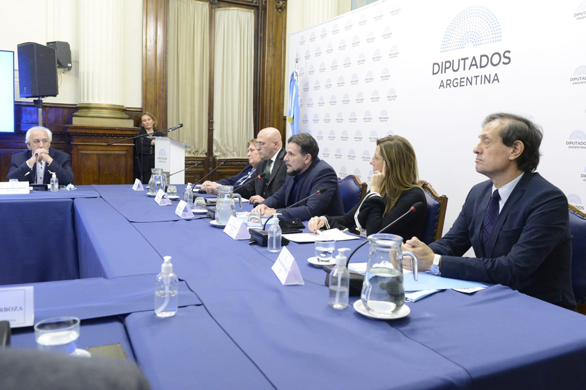Diputados organizó la jornada «Esclerosis múltiple: escenario actual en Argentina»