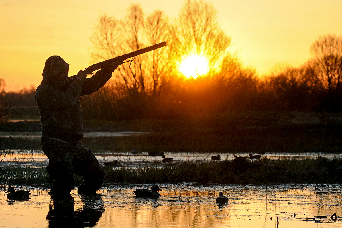 En Entre Ríos la justicia prohíbe la caza de patos autóctonos que el gobierno provincial había permitido