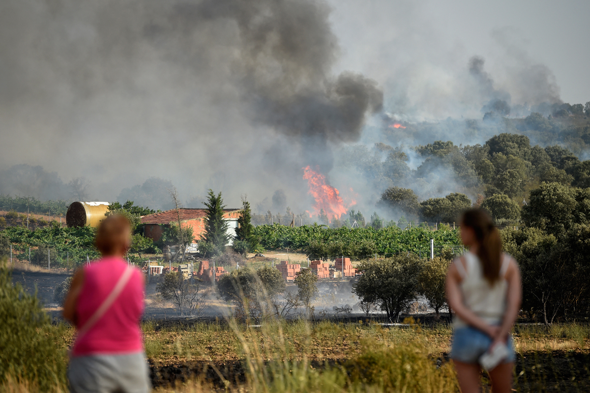 Trágica ola de calor en Europa: en España ya suman al menos 510 muertos