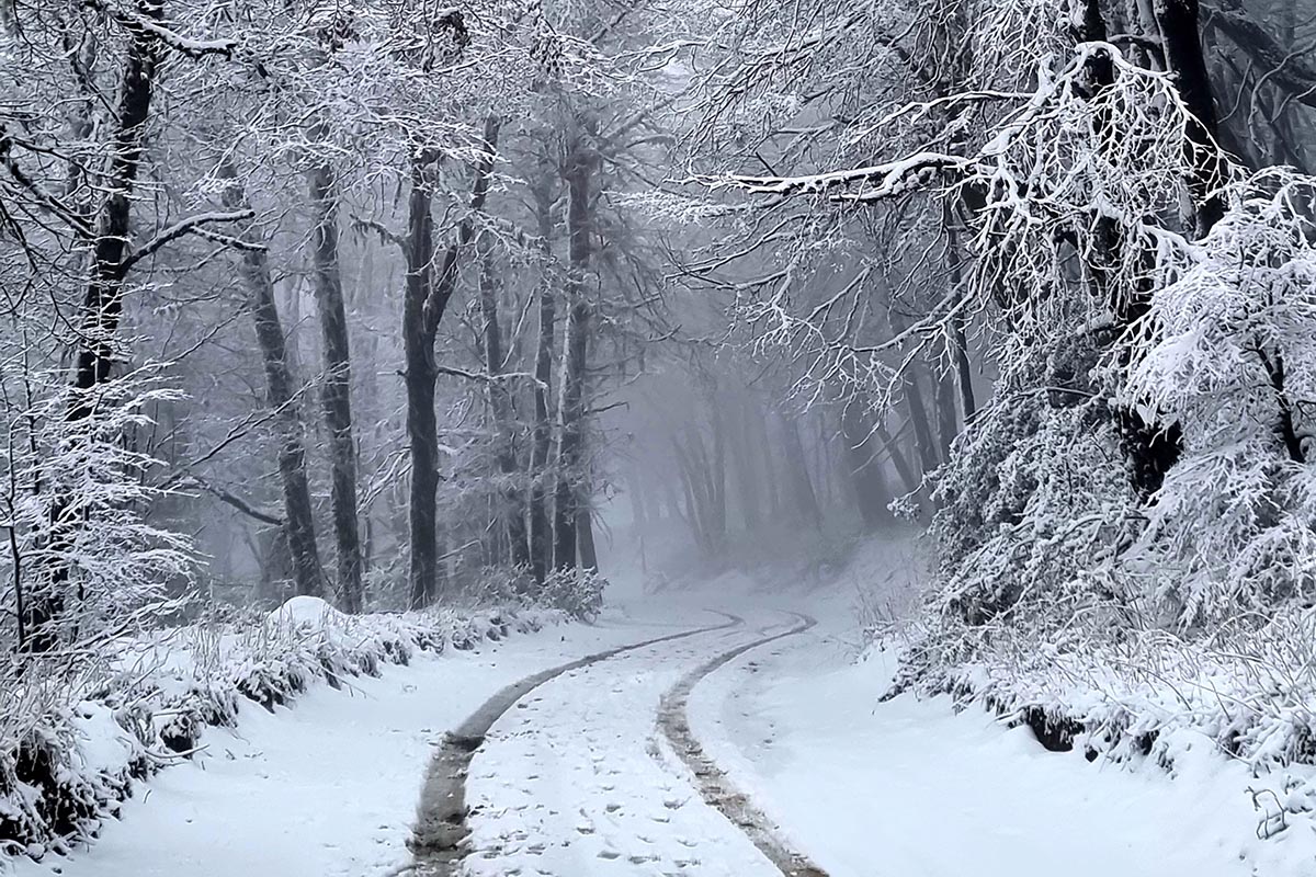 Europa bajo cero: -23º C en Polonia, -15º C en Alemania y -29º C en Letonia
