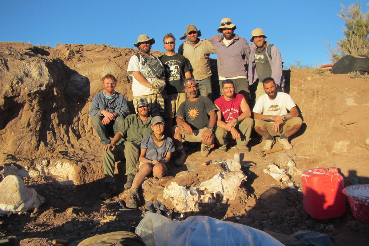 Hallan en Neuquén a uno de los dinosaurios carnívoros de mayor tamaño y mejor conservados del mundo