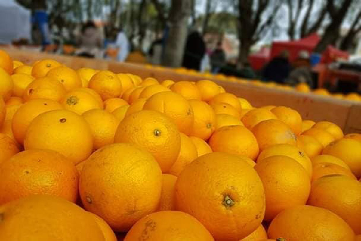 Pueblos de festejo por la naranja de ombligo, kiwis y alfajores