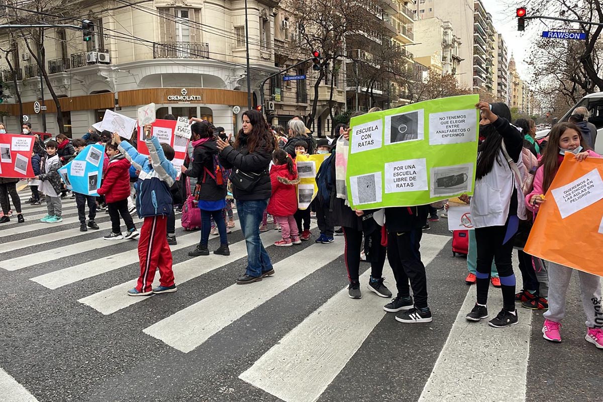 Crecen las denuncias por roedores en escuelas porteñas: «Nuestros hijos estudian entre excremento y ratas»