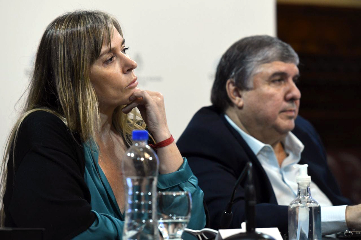 Di Tullio y Mayans presentaron un proyecto de refuerzo de ingresos contra la indigencia