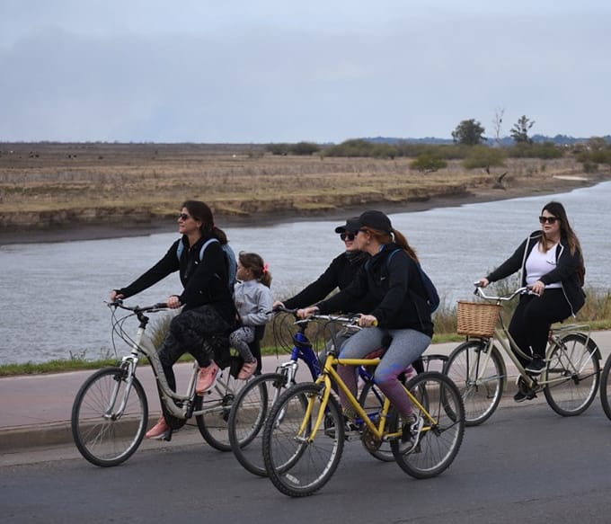 Comics, plantas y ecobici para disfrutar acá nomás