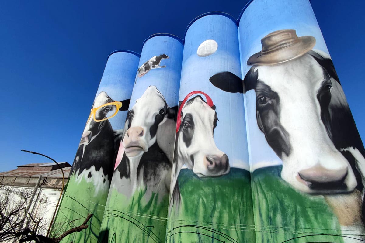 El artista que pintó "San Diego de la Boca", ahora hace volar las vacas  sobre el cielo cordobés