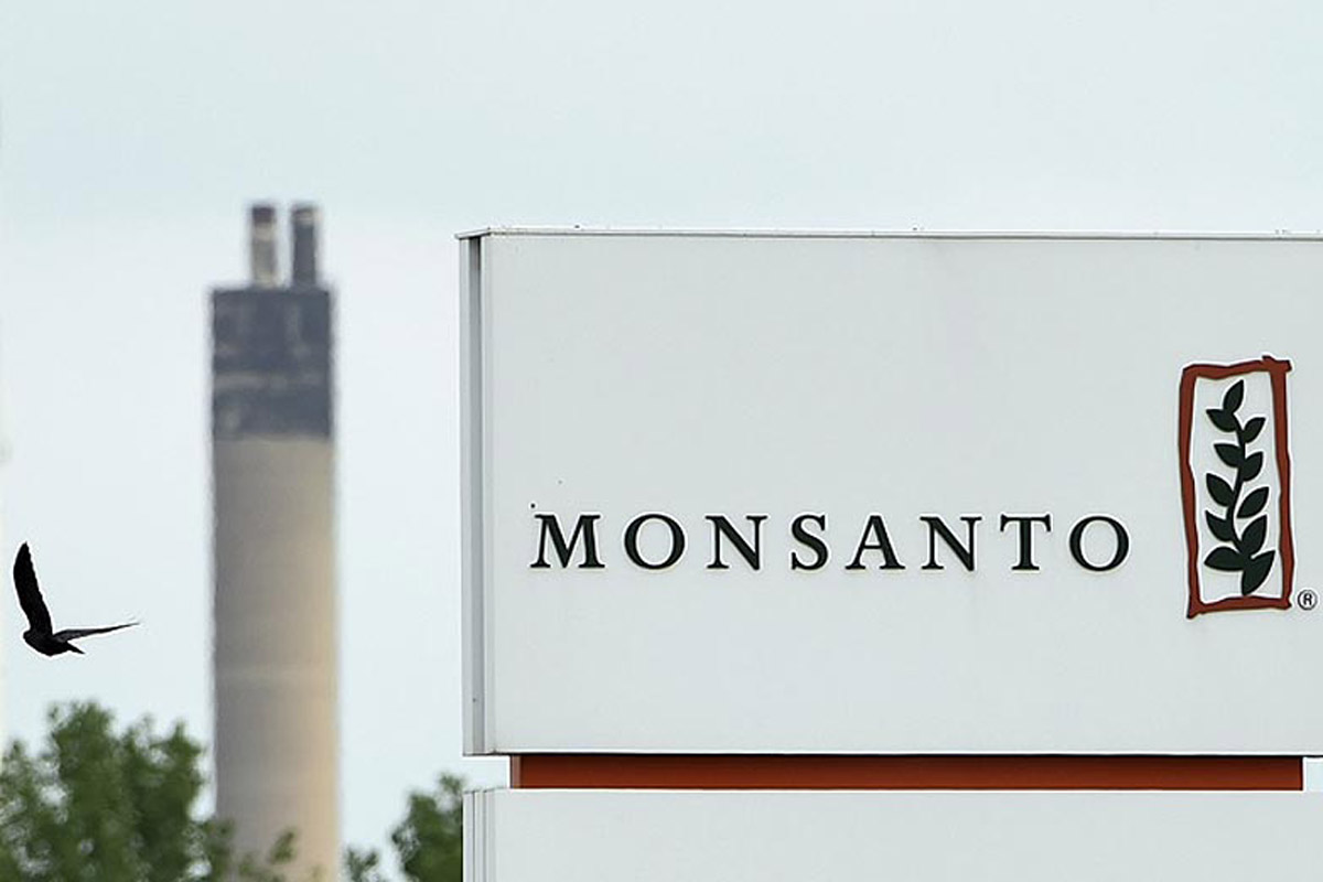 Privatización de semillas: Monsanto va a la Corte reclamando una patente