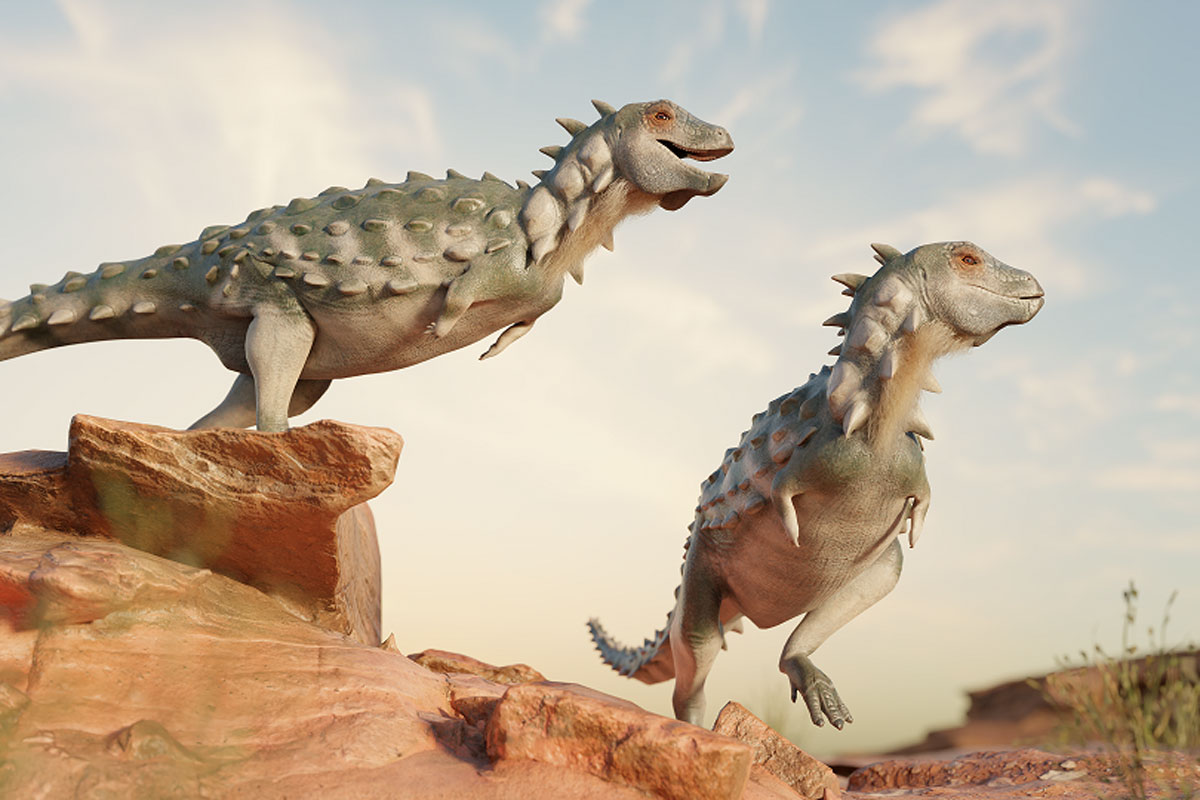 «Tanque a dos patas»: descubren al primer dinosaurio acorazado bípedo de Sudamérica
