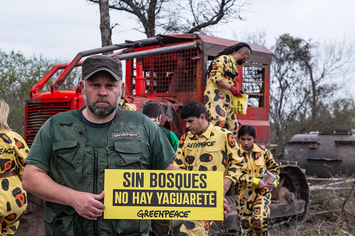 Desmonte en Santiago del Estero: Greenpeace frenó cuatro topadoras que arrasaban casi 3000 hectáreas de bosques