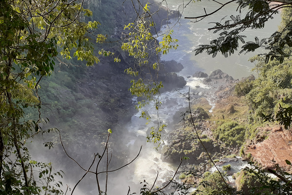 Misiones: selva, naturaleza, yerba y cultura guaraní