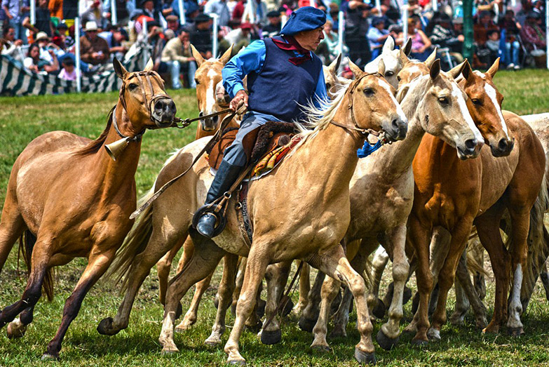 Escapadas para el finde: asado de tira, astroturismo y deportes náuticos