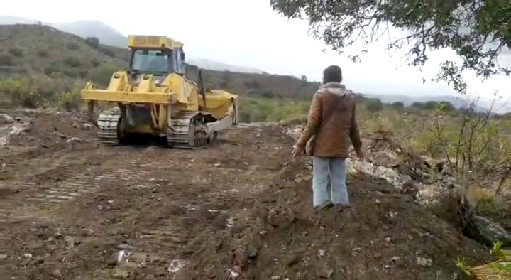Córdoba: sigue el conflicto por la destrucción de bosques nativos