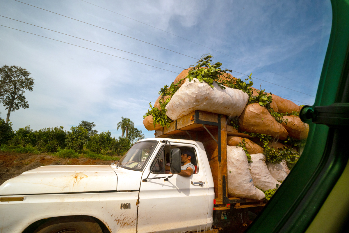Éxodo laboral de Misiones a Brasil: “Esto es el ADN de La Libertad Avanza”