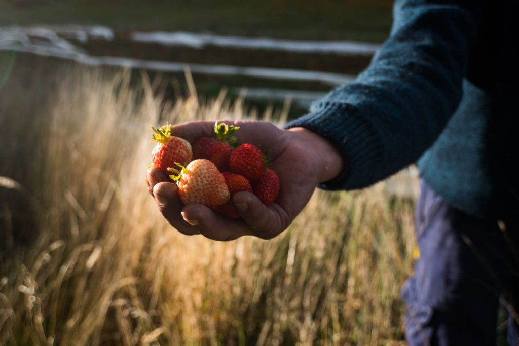 El Bolsón, tierra del lúpulo, pasado hippie y aventuras 6 El Bolsón, tierra del lúpulo, pasado hippie y aventuras