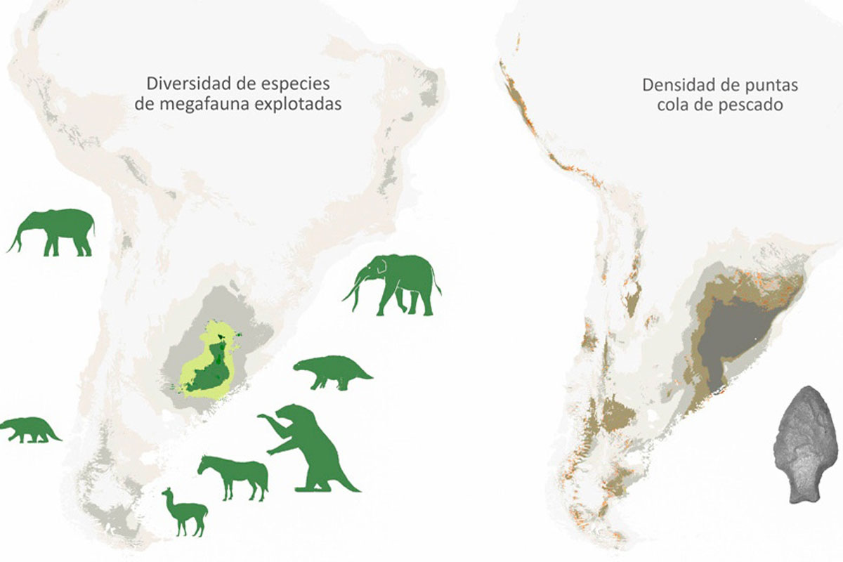 Cómo las puntas de lanza «cola de pescado» fueron claves para extinguir la megafauna histórica de la región