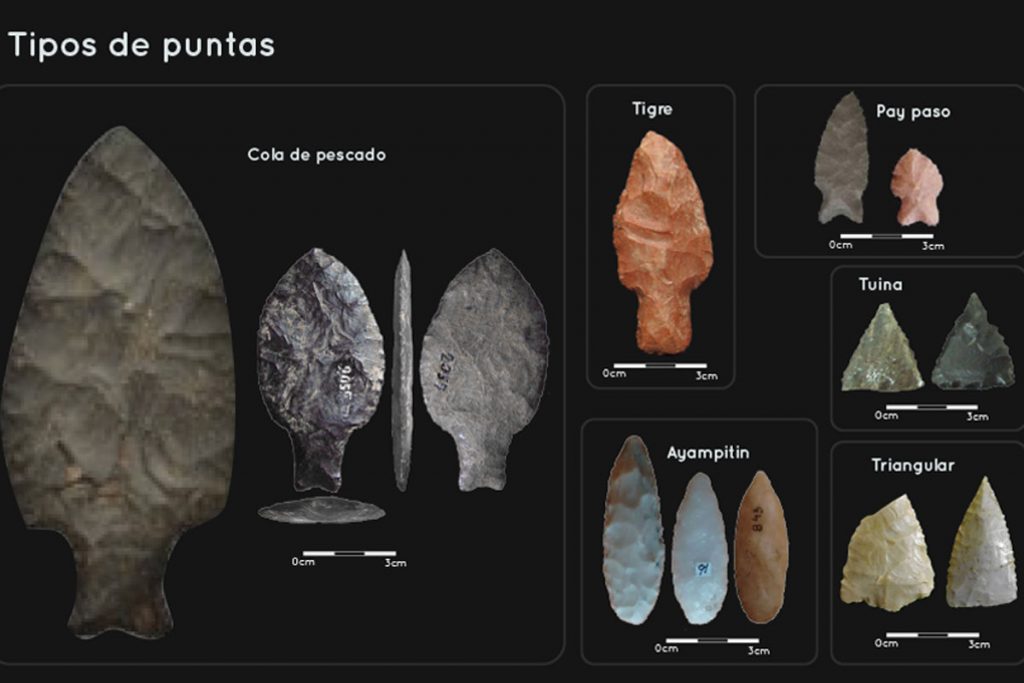 Cómo las puntas de lanza "cola de pescado" fueron claves para extinguir la megafauna histórica de la región