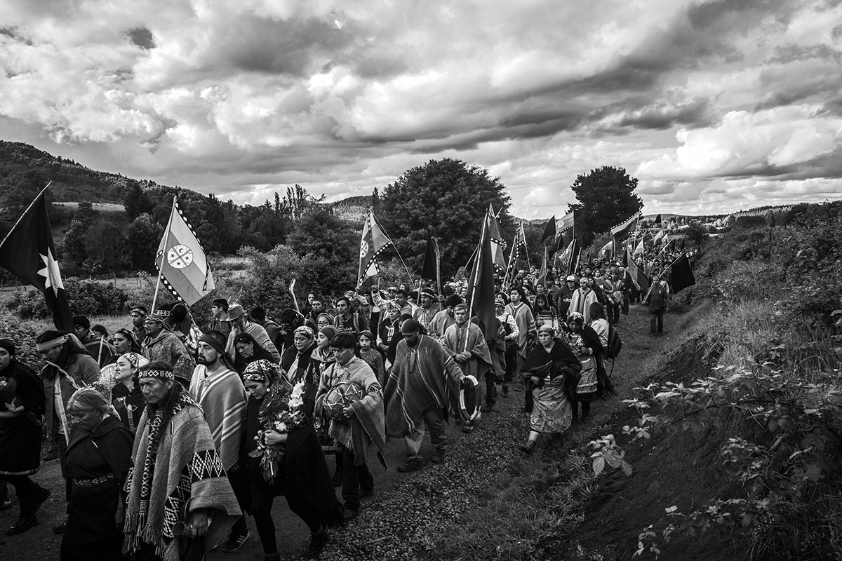 Mapuche, el retorno de las voces antiguas