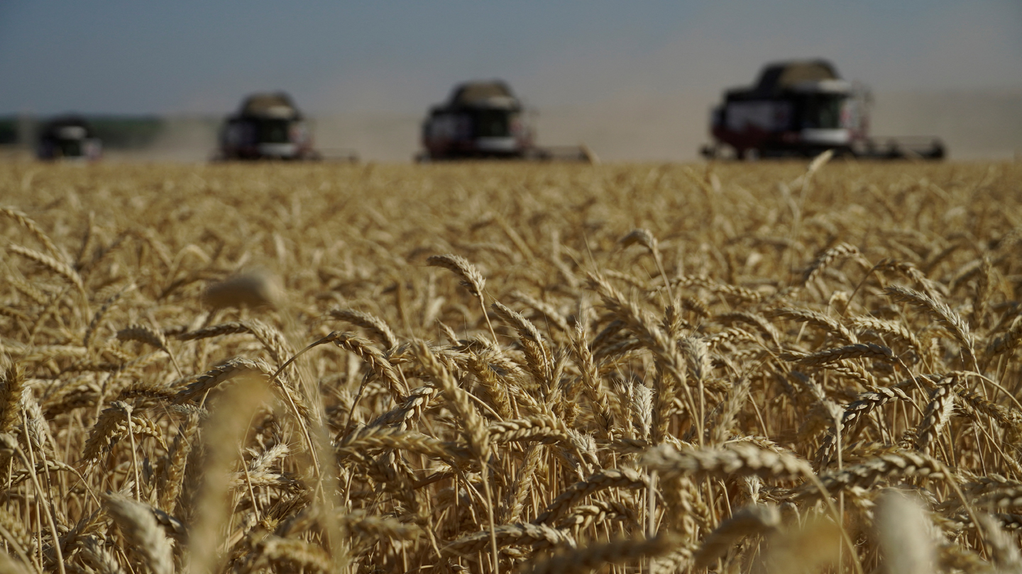 Rusia ofrece a Argentina coproducción de semillas y equipos agrícolas