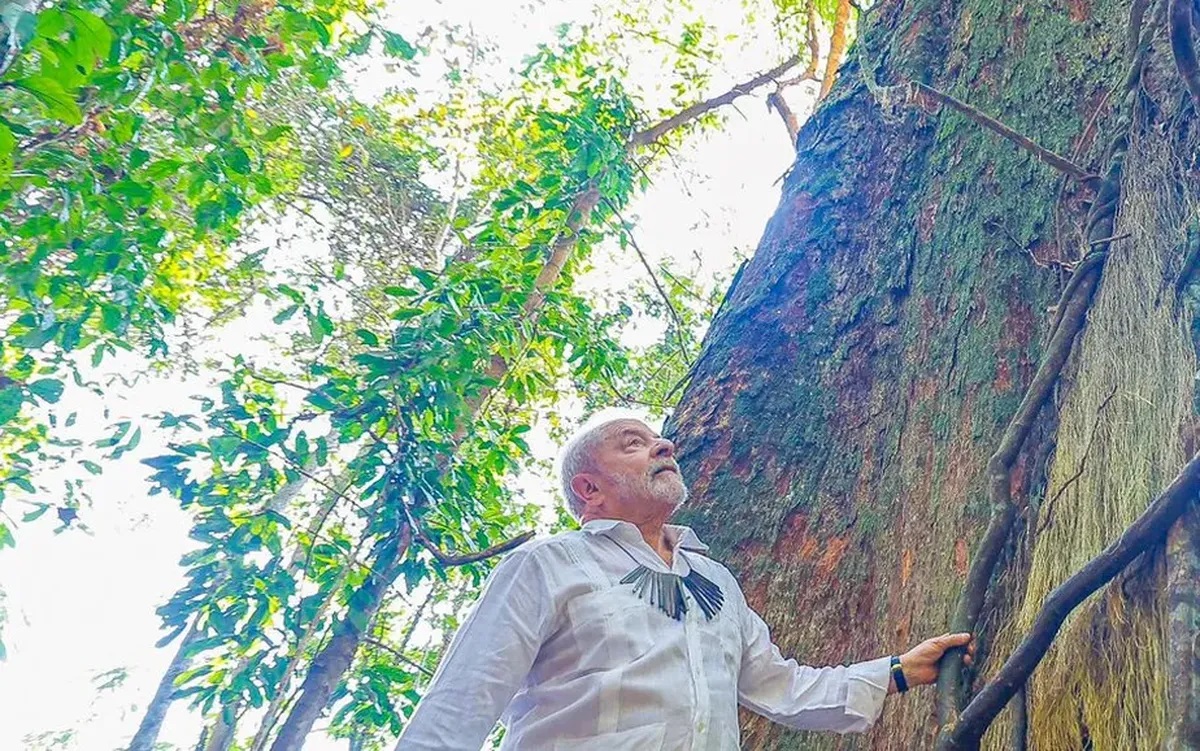 Lula lleva a la COP27 la promesa de salvar la Amazonía