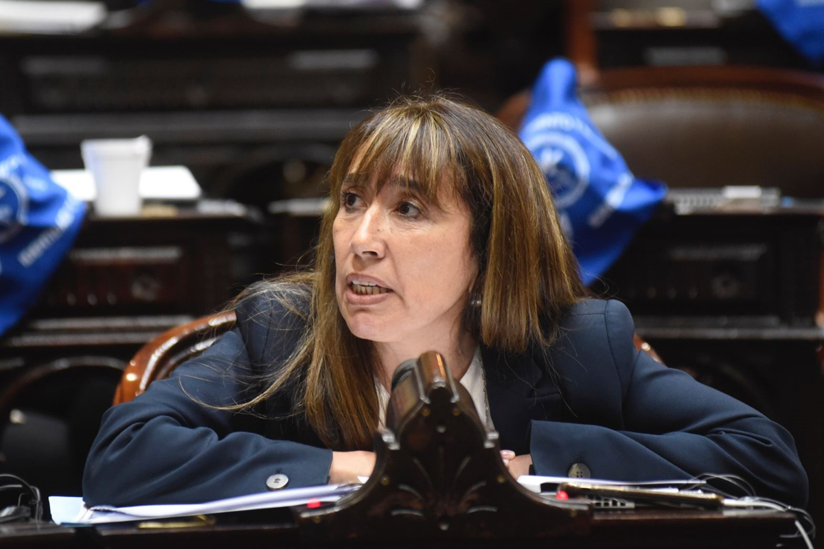 Fue anulada la designación de la diputada Roxana Reyes en el Consejo de la Magistratura