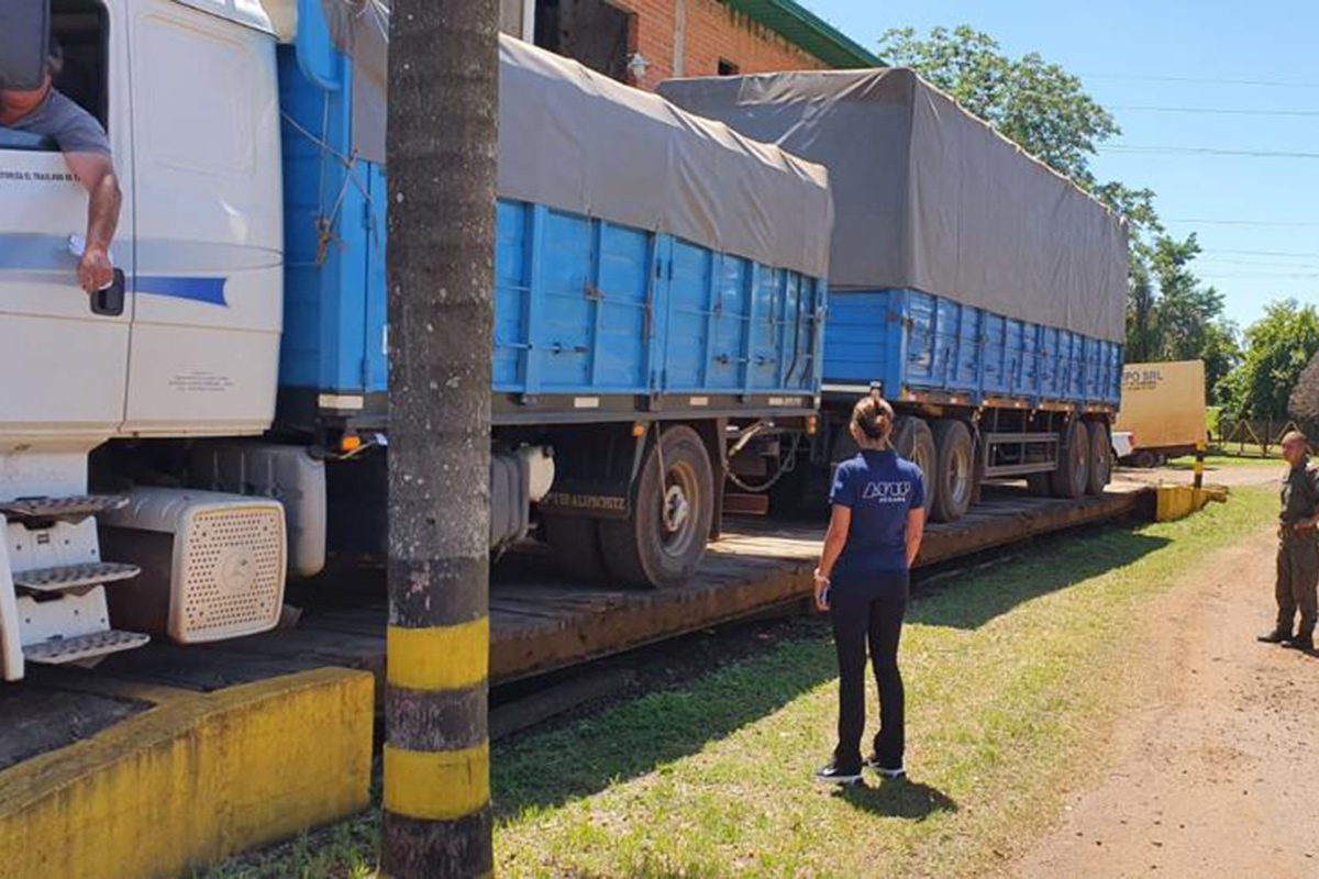 La AFIP incautó casi 400 toneladas de soja ilegal