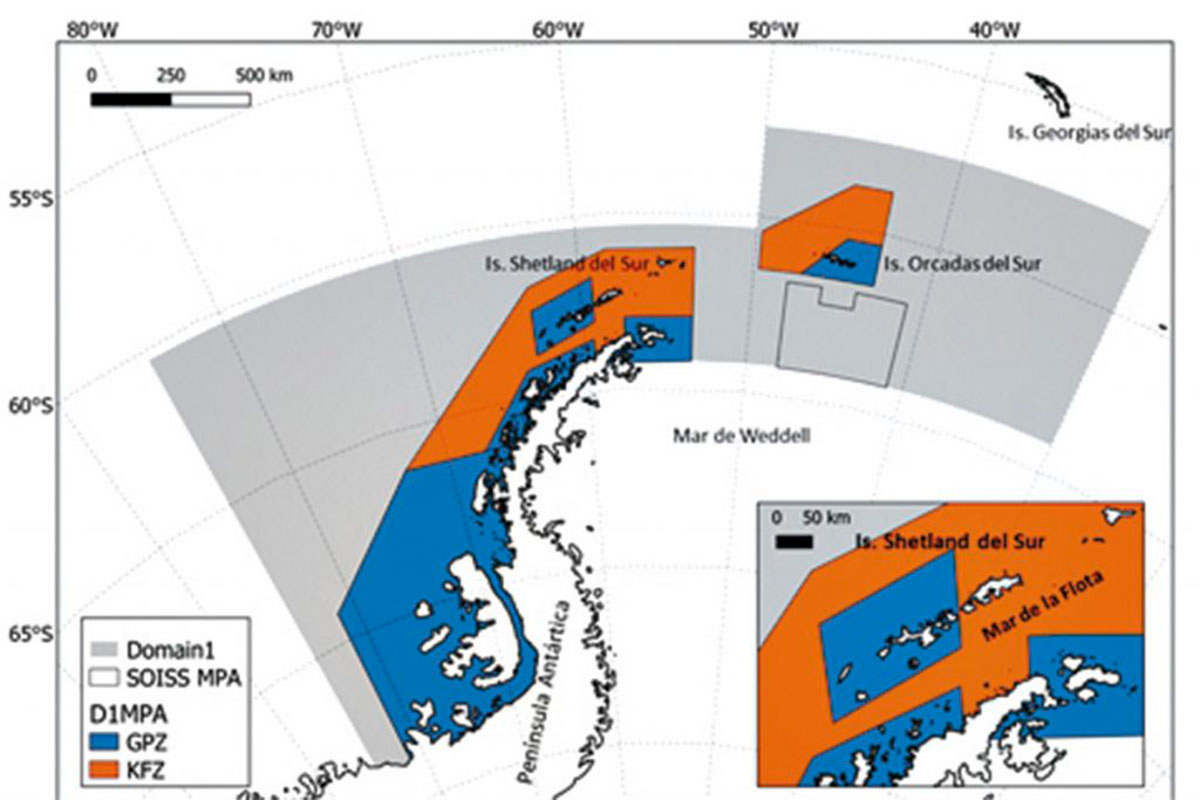 Península Antártica: Chile y Argentina avanzan en la protección de la región predilecta del krill