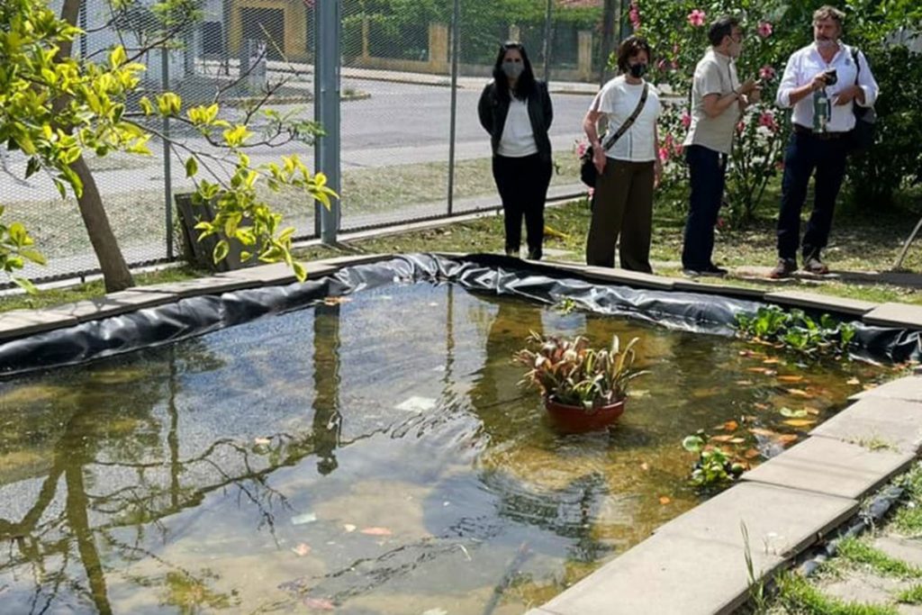 Usan un antipsicótico para combatir el virus del dengue 3 Usan un antipsicótico para combatir el virus del dengue