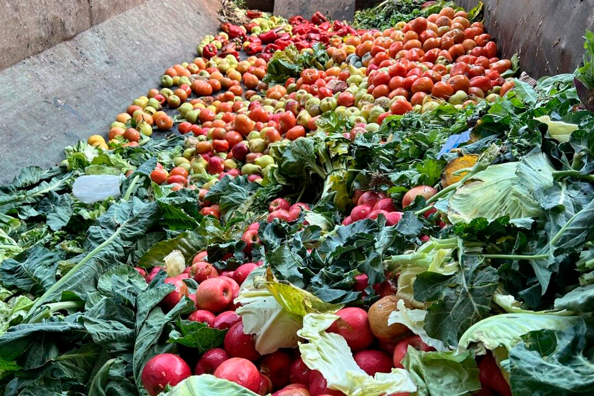 La verdadera grieta en el agro está entre los ganadores y perdedores del modelo económico de Milei