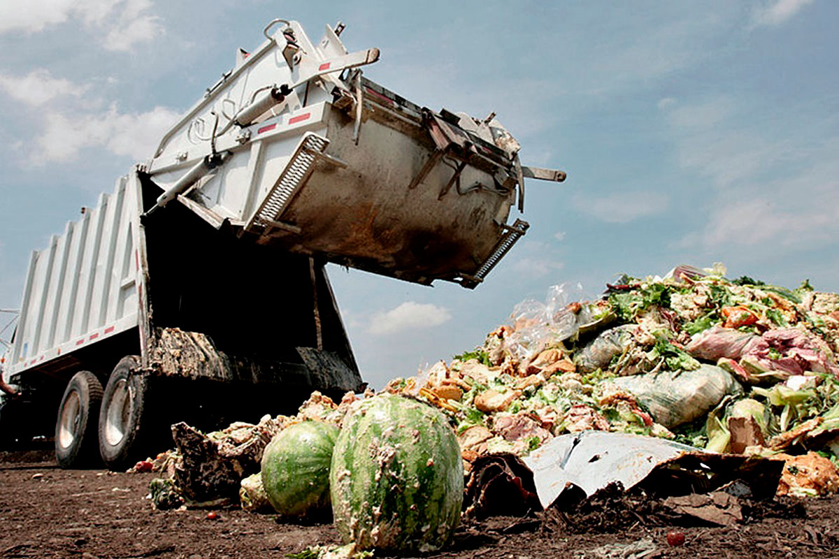 Cómo se reconvierten en el país millones de desechos alimenticios