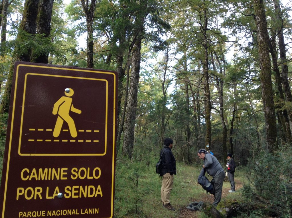 Un sendero entre druidas, gnomos y hongos 3 Un sendero entre druidas, gnomos y hongos