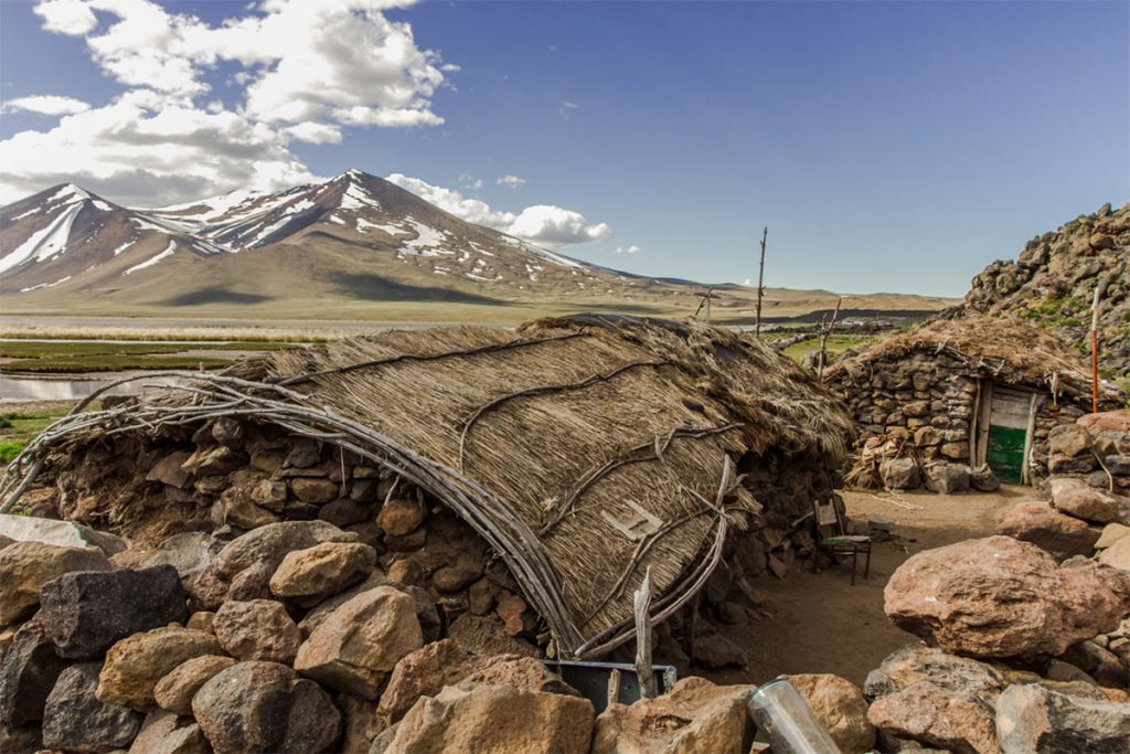 La trashumancia sigue viva en el norte neuquino 4 La trashumancia sigue viva en el norte neuquino