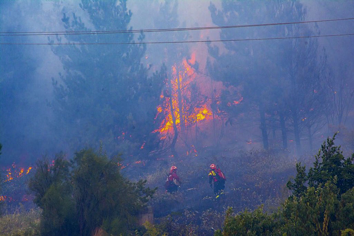 Casi 60 personas evacuadas por incendios en El Hoyo: “El fuego está en el patio de las casas”