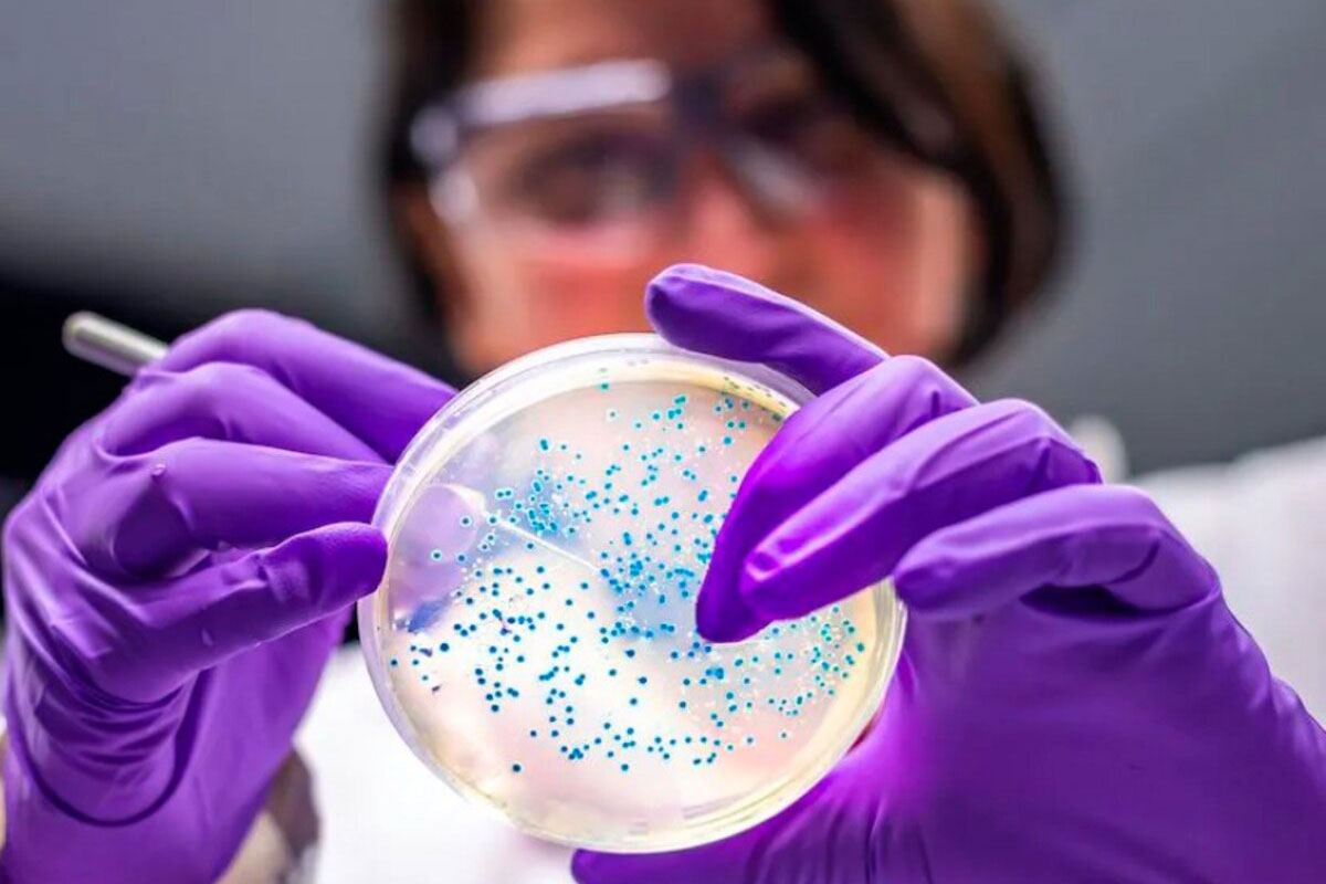 Realizan el mayor estudio para entender cómo compartimos bacterias: el 37% aún son desconocidas