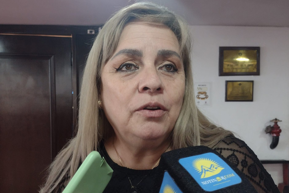 Polémica: quitaron los fueros a la diputada jujeña Débora Juárez Orieta