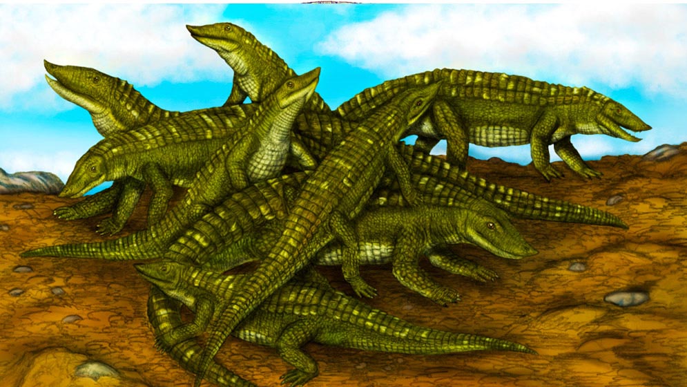 Descubren una guardería de reptiles bebés extintos hace 215 millones de años