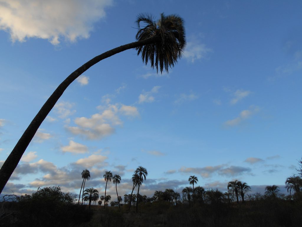 La Ruta Natural de Argentina estuvo en Alemania