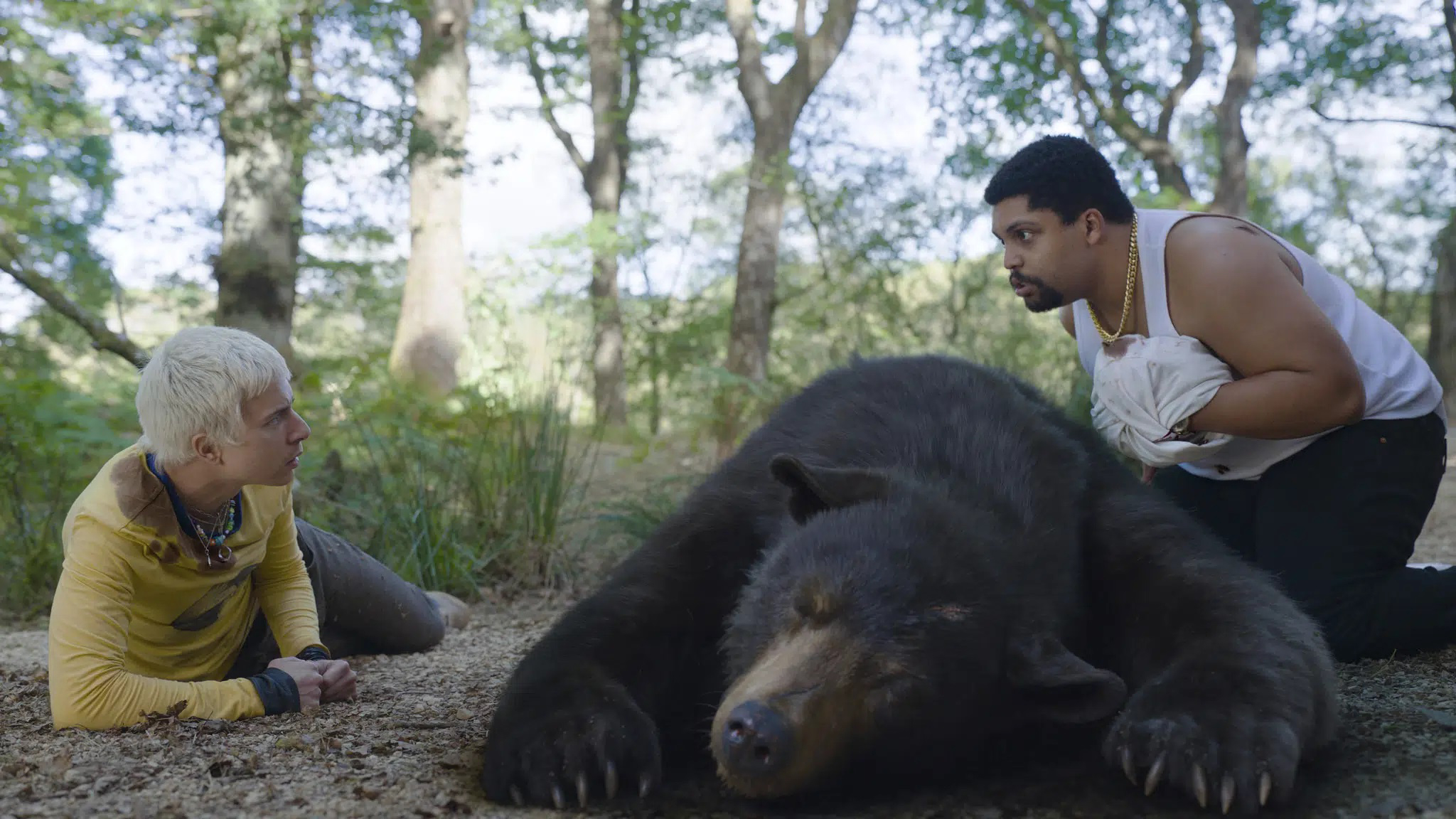 “Oso intoxicado” (Cocaine Bear), la experiencia más salvaje y bizarra que se esconde en el bosque