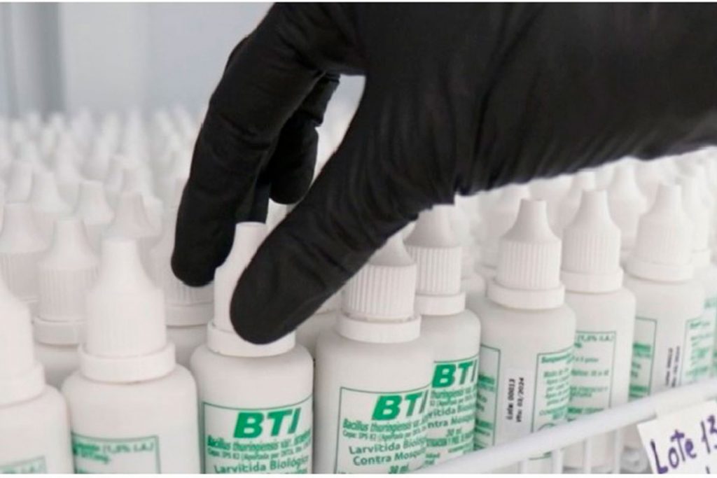 Dengue: un desarrollo del INTA en Salta logró un 97% de eficacia contra el Aedes 2 Dengue: un desarrollo del INTA en Salta logró un 97% de eficacia contra el Aedes
