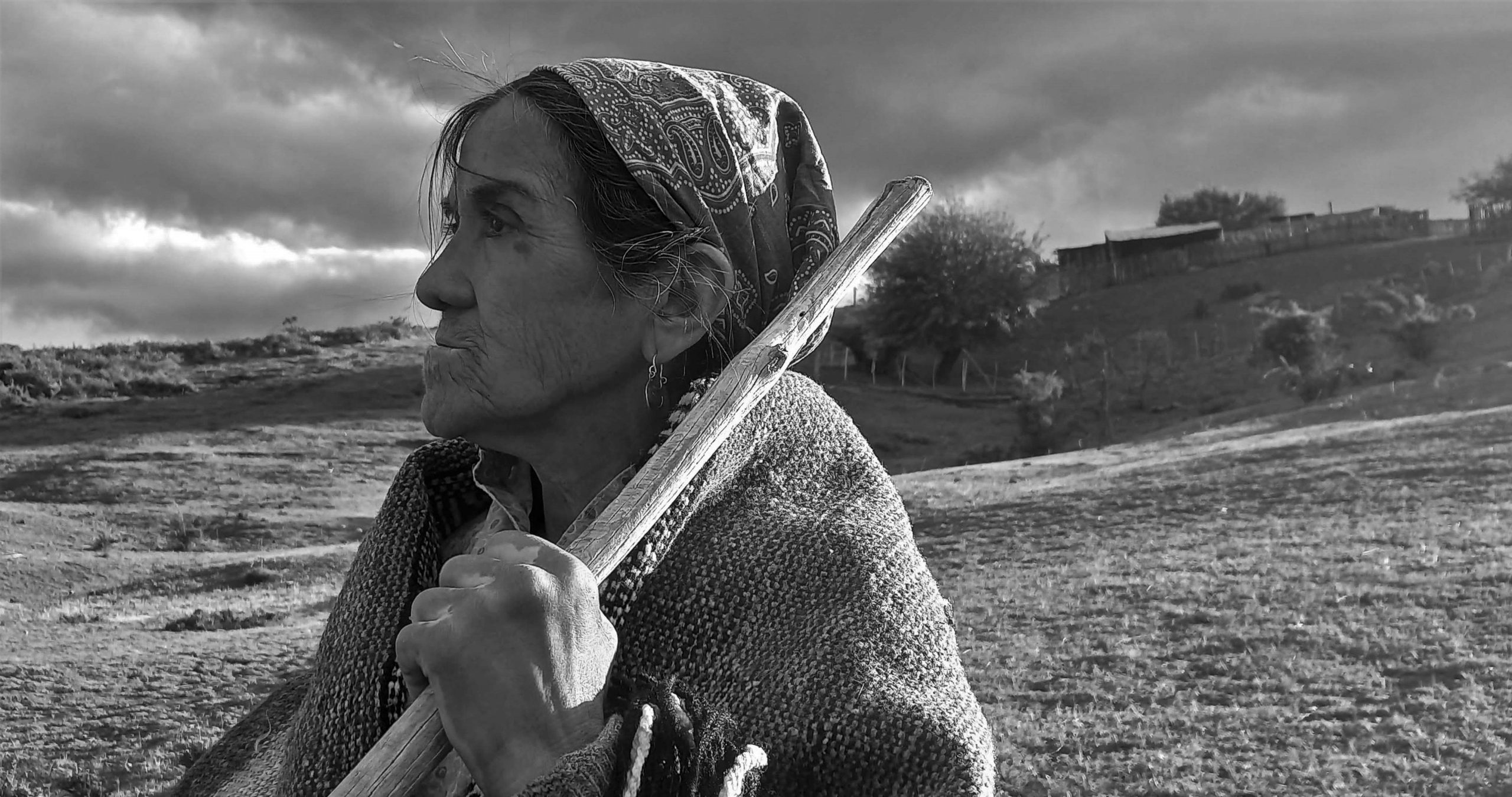 «Cuentos de la tierra»: relatos sobre la cultura mapuche y su profunda relación con la naturaleza
