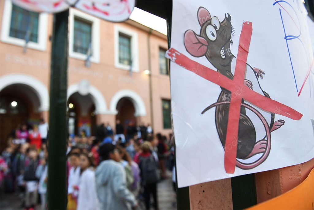 Gestión PRO: las claves de la debacle educativa 1 Gestión PRO: las claves de la debacle educativa