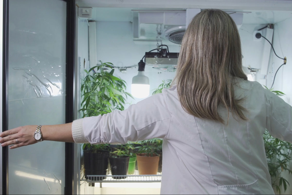 “Cannabis medicinal”, un documental argentino que reúne testimonios de usuarios y científicos del mundo