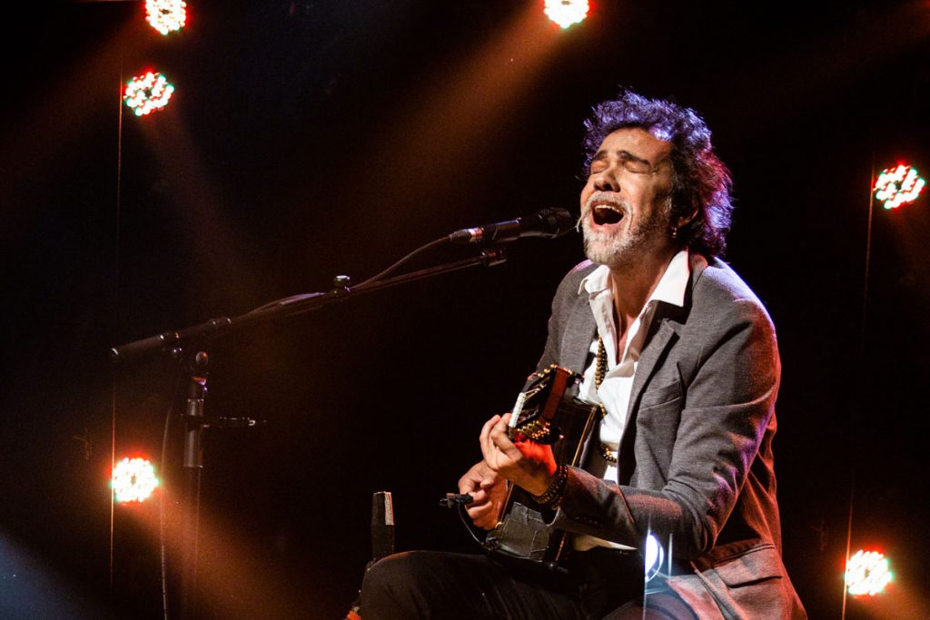 Paulinho Moska: “Los árboles se comunican y se cuidan, los humanos tenemos mucho que aprender de ellos” 1 Paulinho Moska: “Los árboles se comunican y se cuidan, los humanos tenemos mucho que aprender de ellos”