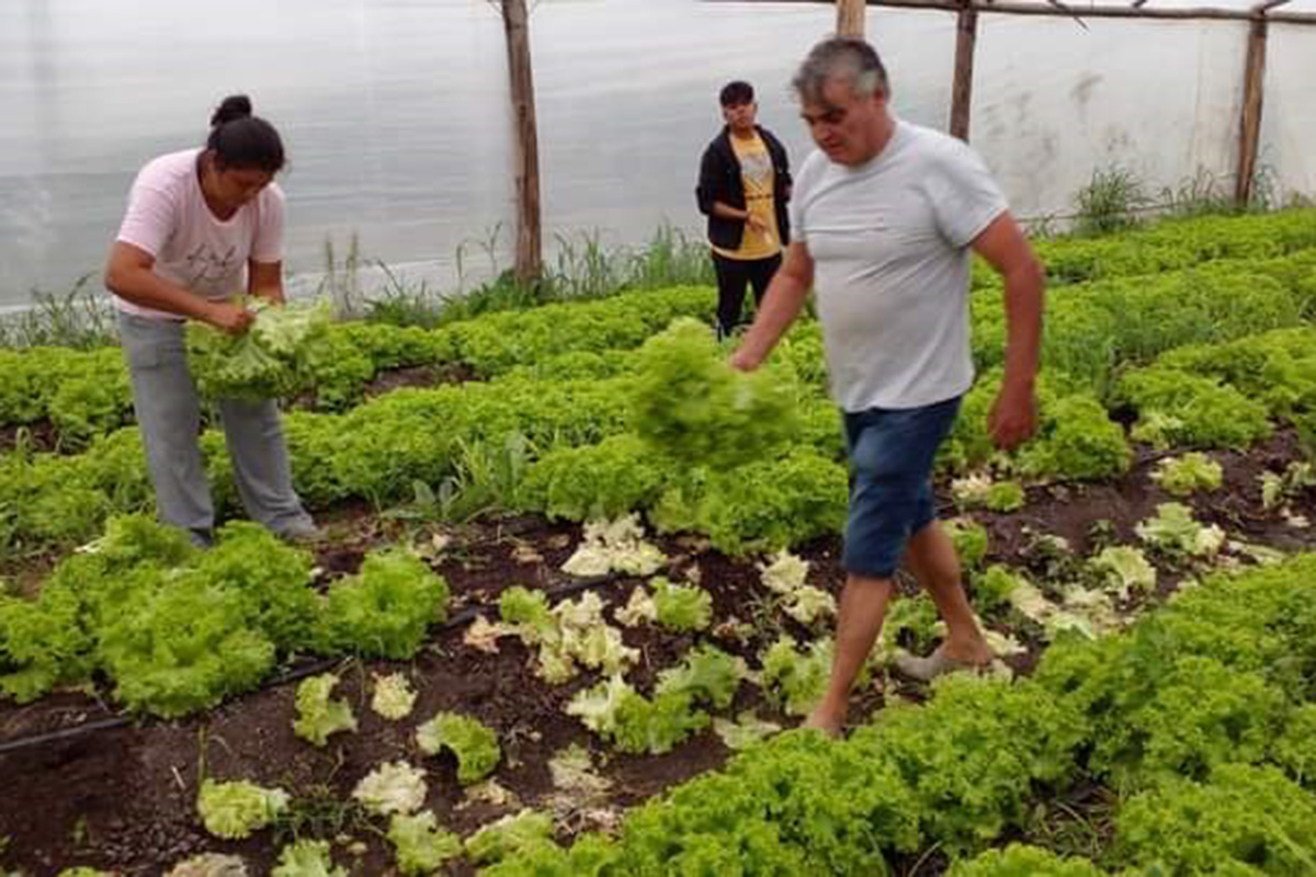 La Cooperativa Agroindustrial Agropecuaria Paraná cumplió tres años