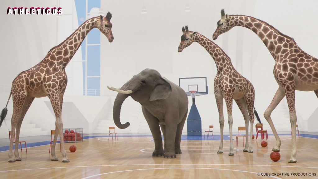 Agenda de Espectáculos 1 Agenda de Espectáculos