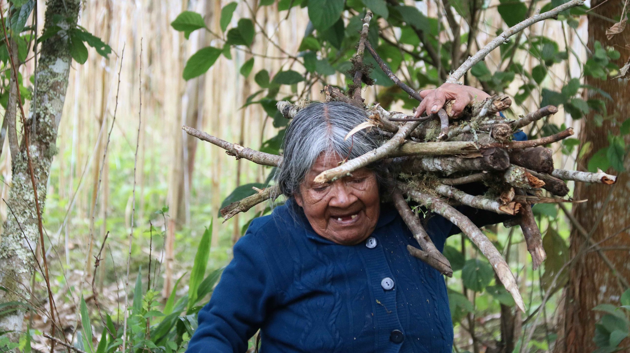 Llega una nueva edición del Festival Internacional de Cine Documental: “40 años de democracia en las calles”