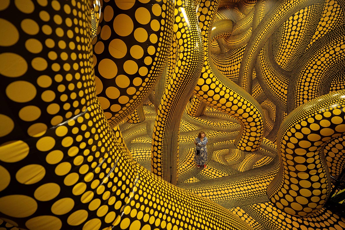 Las fotos de la semana