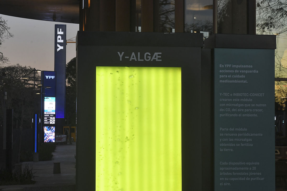 Árboles líquidos: la nueva solución porteña para «purificar el aire» y bajar la contaminación